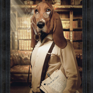 Image encadrée – Sylvain Binet – Chien basset – 50x70cm