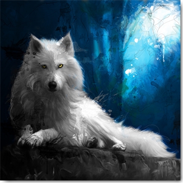 Affiche – Patrice Murciano – Cheyenne le loup blanc – 30×30 ou 70x70cm