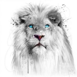 Affiche – Patrice Murciano – White lion – 30×30 ou 70x70cm