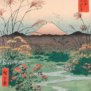 Affiche – Ando Hiroshige – Otsuki plain in Kai province – 30x40cm ou 60x80cm