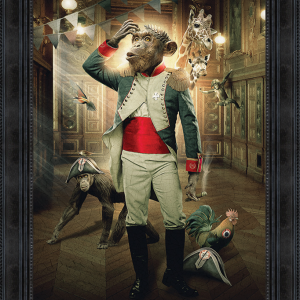 Image encadrée – Sylvain Binet – Singe Empereur – 50x70cm