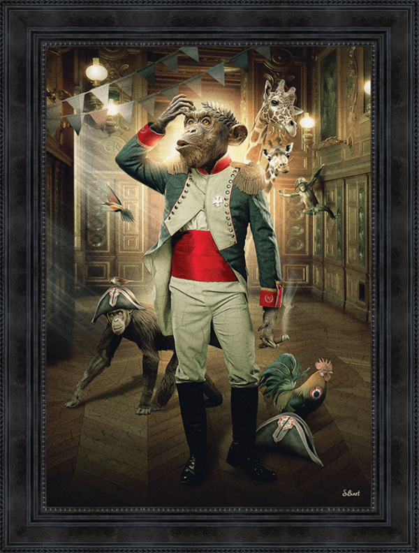 Image encadrée – Sylvain Binet – Singe Empereur – 50x70cm