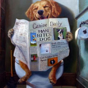 Affiche – Lucia Heffernan – Dog Gone Funny – 30x40cm