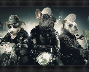 Image encadrée – Sylvain Binet – Chiens Motards – 63x140cm