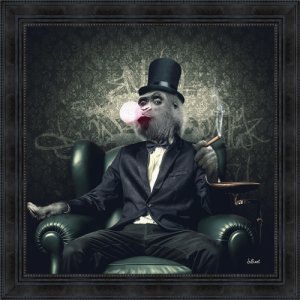 Image encadrée – Sylvain Binet – Singe chewing gum – 68x68cm
