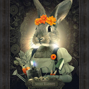 Image encadrée – Sylvain Binet – Miss Rabbit – 50x70cm