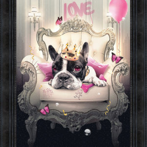 Image encadrée – Sylvain Binet – Bulldog Girly – 50x70cm