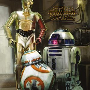 Poster – Star Wars – Episode VII (Droids) – 40x50cm