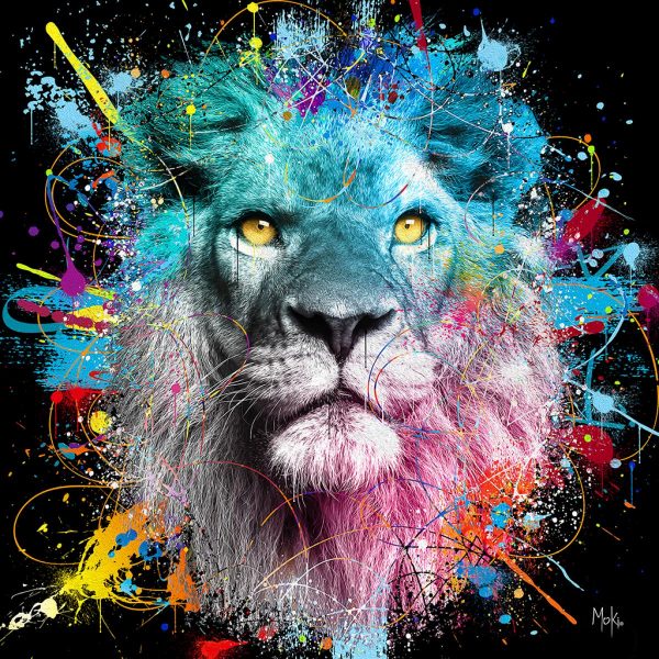 Affiche – Moki – Lion Color – 30x30cm