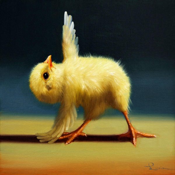 Affiche – Lucia Heffernan – Yoga Chick Pyramide Pose – 30x30cm