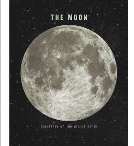 Affiche – Terry Fan – The Moon – 30x40cm