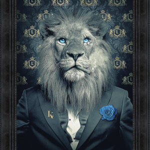 Image encadrée – Sylvain Binet – Lion Fashion – 50x70cm