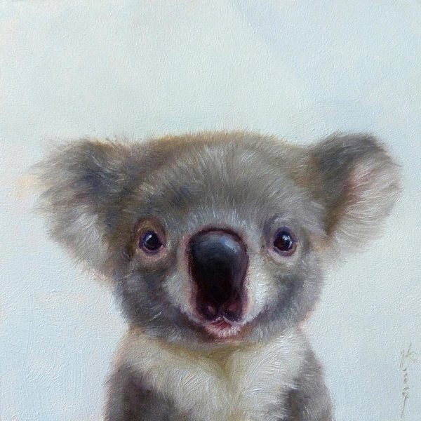 Affiche – Lucia Heffernan – Lil Koala – 30x30cm