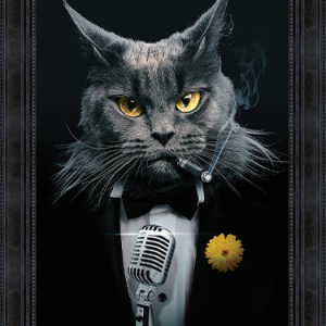 Image encadrée – Sylvain Binet – Chat Chanteur – 50x70cm