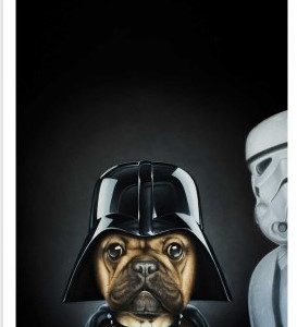 Affiche – A.Granger – Dog Vador – 30x40cm