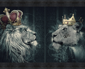 Image encadrée – Sylvain Binet – Lions Couronnes – 63x140cm