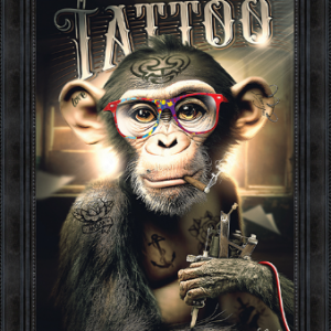 Image encadrée – Sylvain Binet – Tattoo – 50x70cm