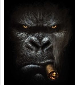 Affiches – A.Granger – The real Boss – 30x40cm