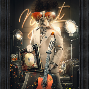 Image encadrée – Sylvain Binet – Motown – 50x70cm