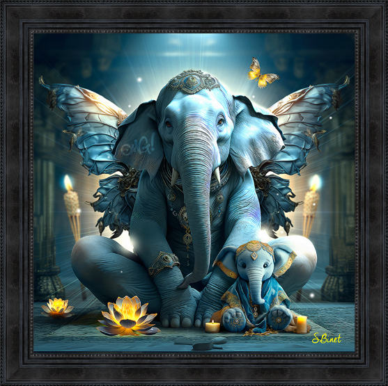 Image encadrée – Sylvain Binet – Elephant la sagesse – 60x60cm