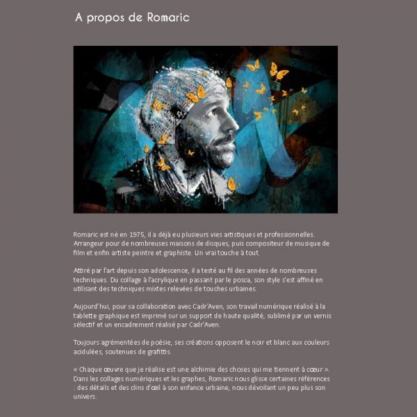 Image encadrée – Romaric – Johnny Hallyday – 50x70cm