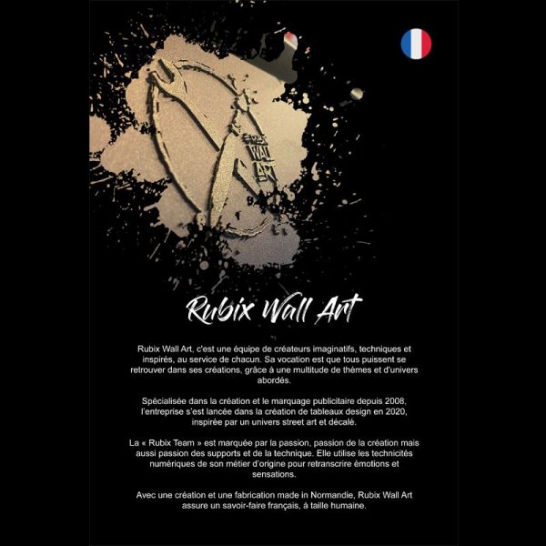 Image encadrée – Rubix – Coccinelle 53 – 40x40cm
