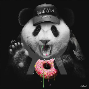 Impression Alu Dibond – Sylvain Binet – Donuts – 20x20cm