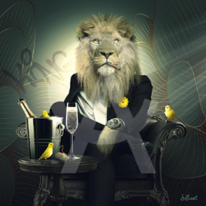 Impression Alu Dibond – Sylvain Binet – Lion Chesterfield – 20x20cm