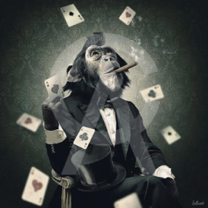 Impression Alu Dibond – Sylvain Binet – Singe poker – 20x20cm