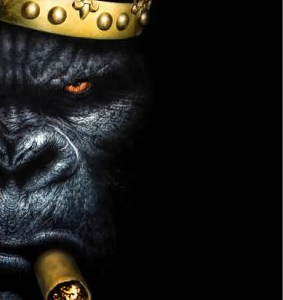 Impression Alu Dibond – A.Granger – The King – 20x28cm