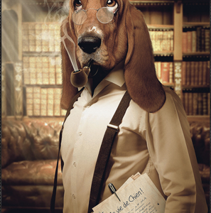 Impression Alu Dibond – Sylvain Binet – Chien Basset – 20x28cm