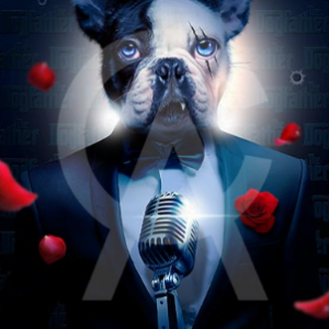 Impression Alu Dibond – Sylvain Binet – Dog Father – 20x28cm