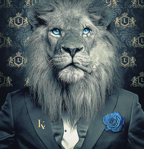 Impression Alu Dibond – Sylvain Binet – Lion Fashion – 20x28cm