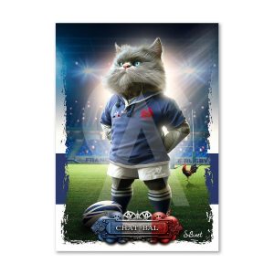 Impression Alu Dibond – Sylvain Binet – Chat-bal – 20x28cm