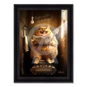 Image encadrée – Sylvain Binet – Chat-nitaire – 50x70cm