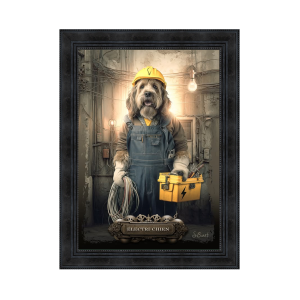 Image encadrée – Sylvain Binet – Electrichien – 50x70cm